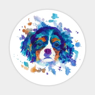 Cavalier king charles spaniel Magnet